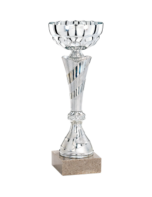 Coupe Économique Métal : 2031