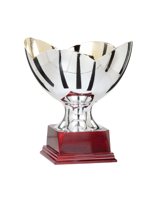 Trophée Prestige : 7781