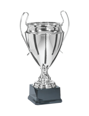 Trophée Ligue des Champions : 7411