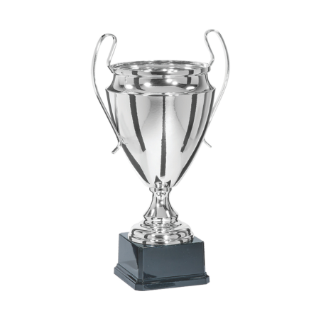 Trophée Ligue des Champions : 7411