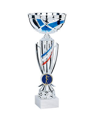 Coupe ABS Personnalisable : 2811