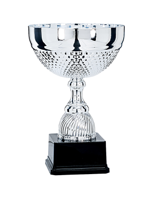  Coupe Prestige Métal : 6781